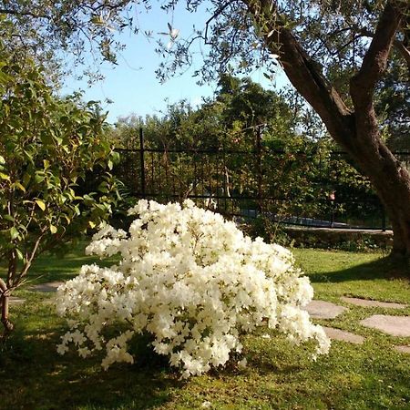 Bed and Breakfast La Vie Est Belle Finale Ligure Exterior foto