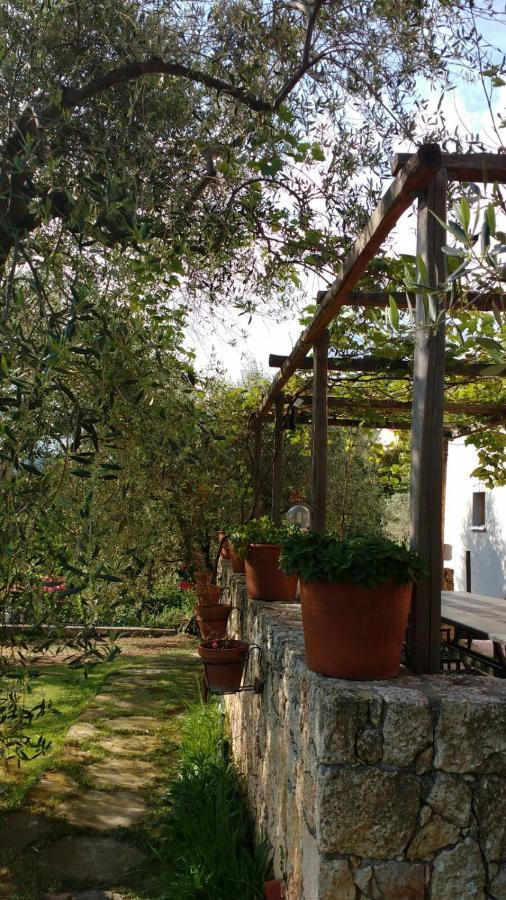 Bed and Breakfast La Vie Est Belle Finale Ligure Exterior foto